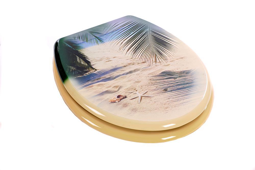 Novelty Toilet Seat Resin Material with Corrosion Free Chrome Hinges